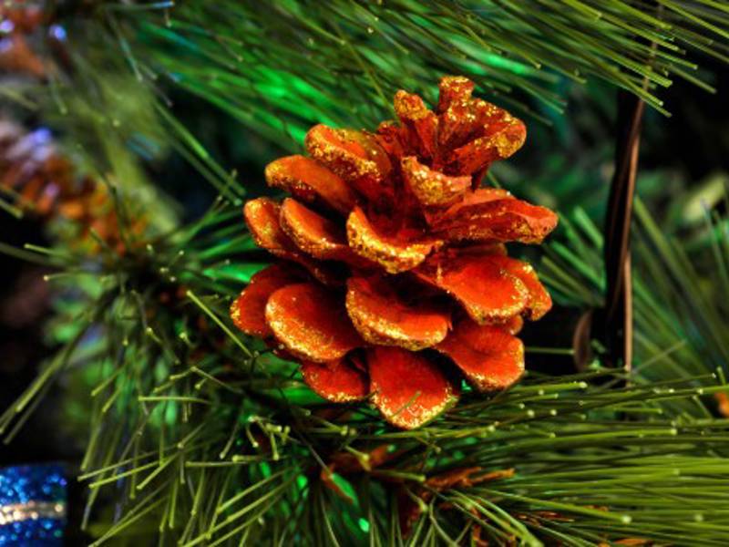 Julgransmingel 2025!